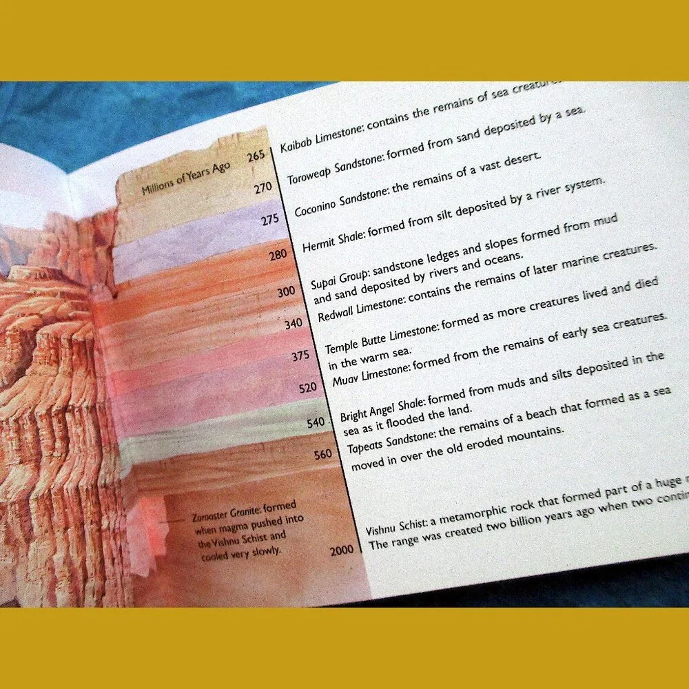 Book - The Little Guides: Dinosaurs, ed. by Dr. Paul Willis - Picture 3 of 16